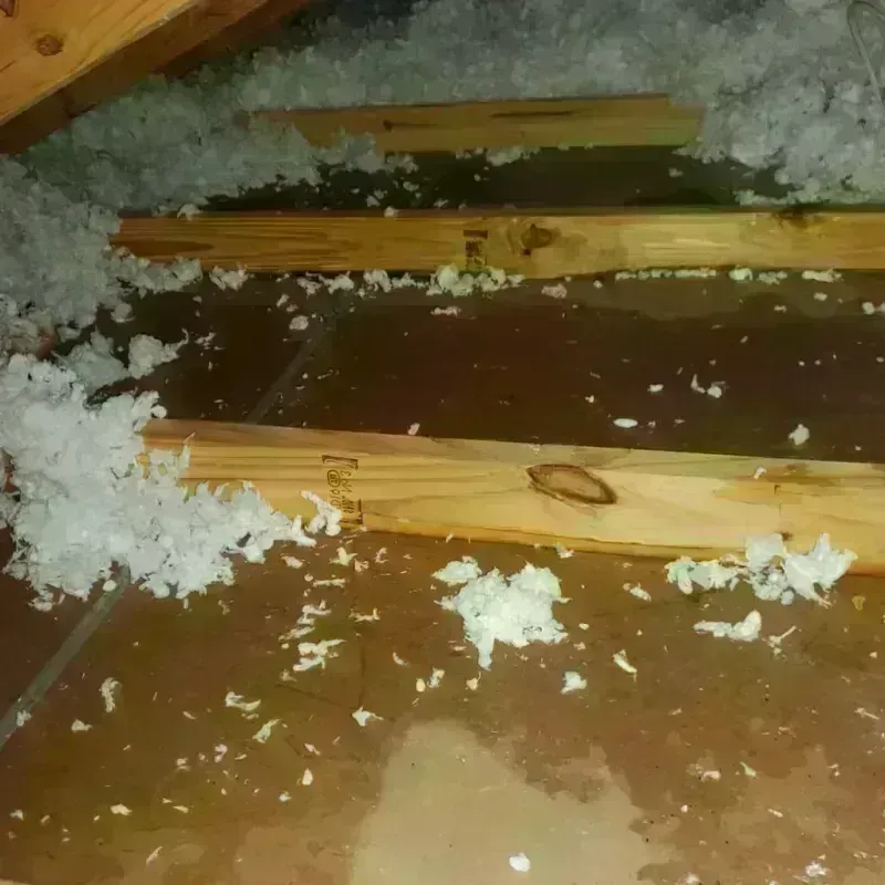 Attic Water Damage in Watford City, ND